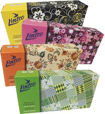 Kapesníky Linteo BOX 2V Satin Soft 100ks Kapesníky Linteo BOX 2V Satin Soft 100ks - Papírová hygiena Kosmetické kapesníčky box